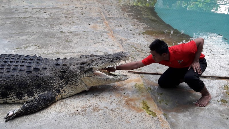 Crocodile Adventureland Langkawi