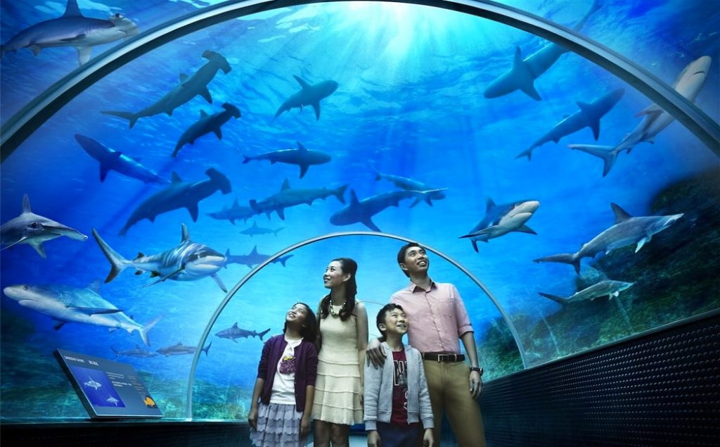 must visit attractions in langkawi underwater world