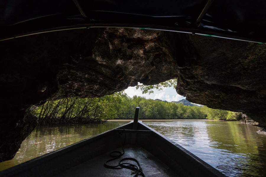 Langkawi Mangrove Tour