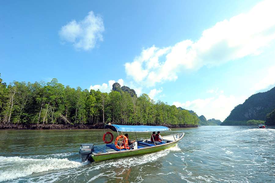 Langkawi Mangrove Tour