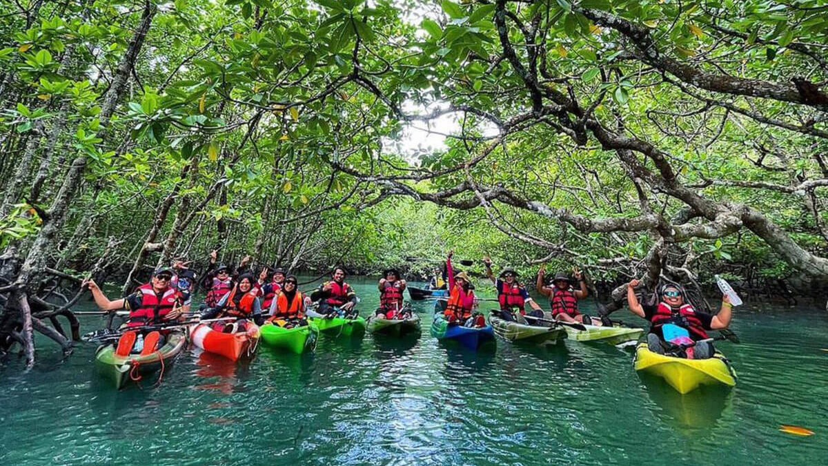 Langkawi Mangrove Kayaking Tour