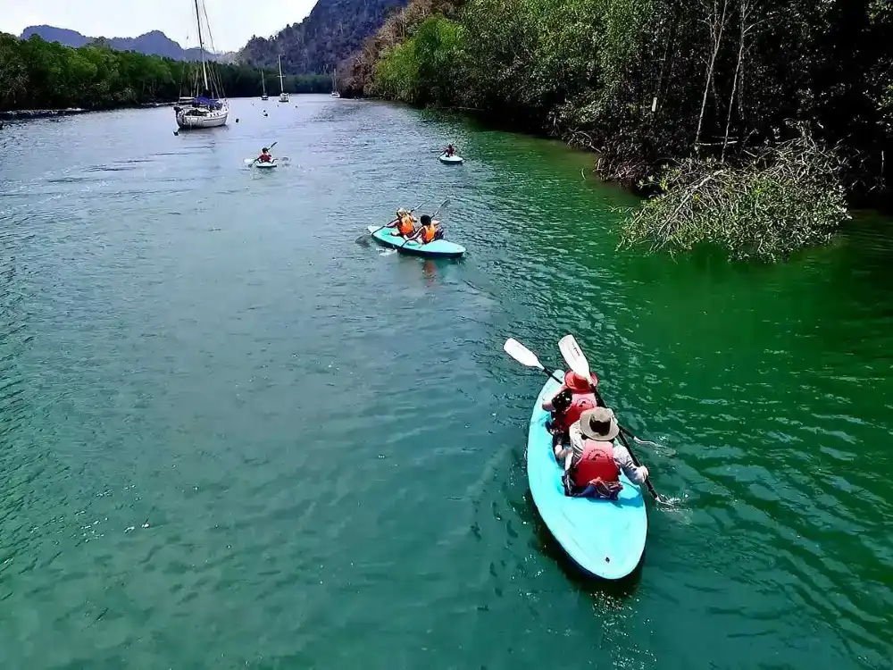 Langkawi Mangrove Kayaking Tour