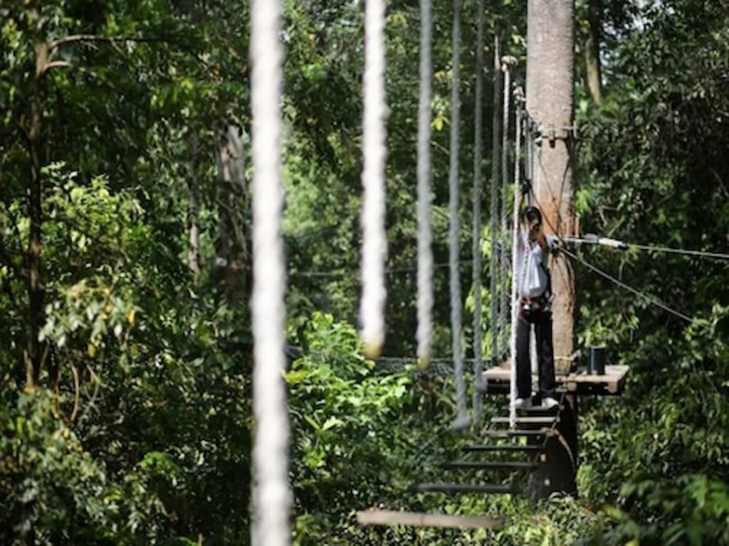 best things to do in langkawi skytrex adventure langkawi