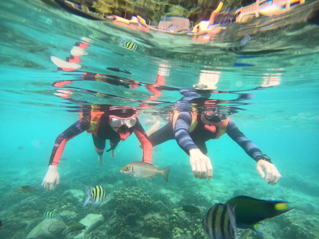 Pulau Payar Langkawi Snorkeling