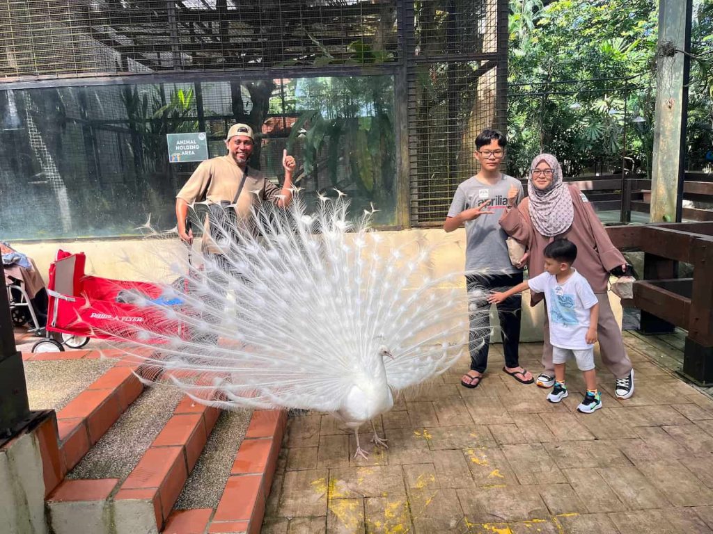 reasons to visit langkawi family friendly attractions