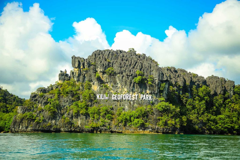 tempat menarik langkawi mangrove tour