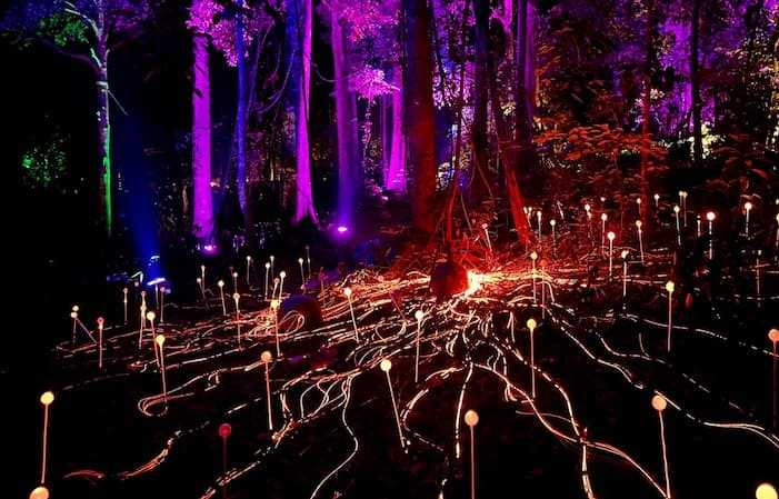 best theme & adventure parks in langkawi dream forest langkawi
