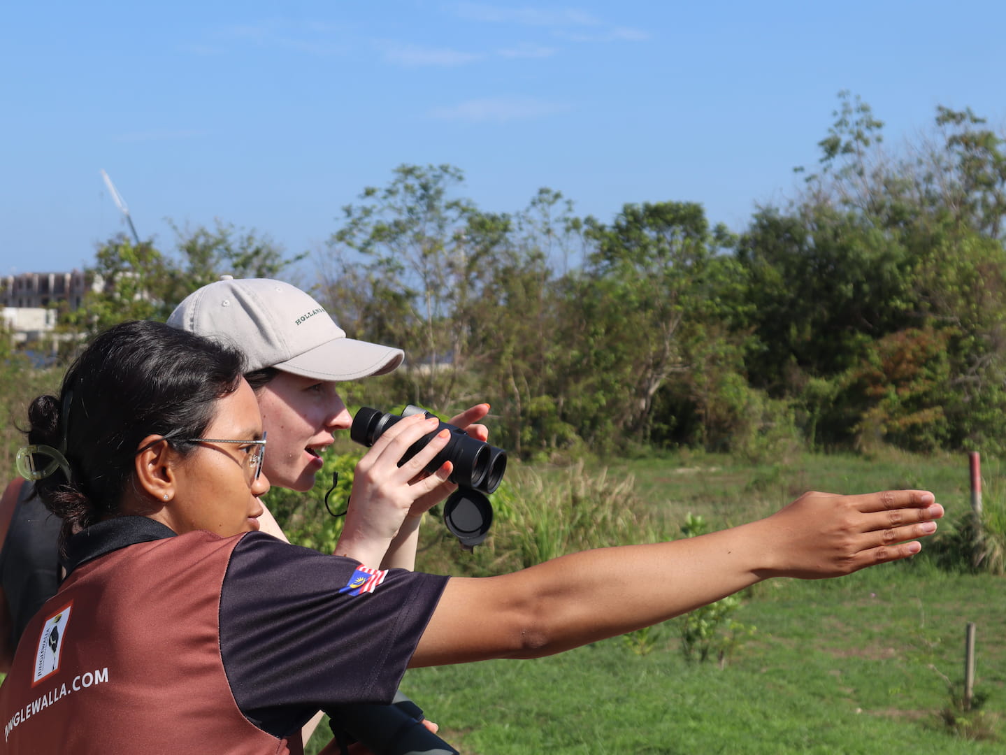 Kubang Badak Birdwatching Langkawi