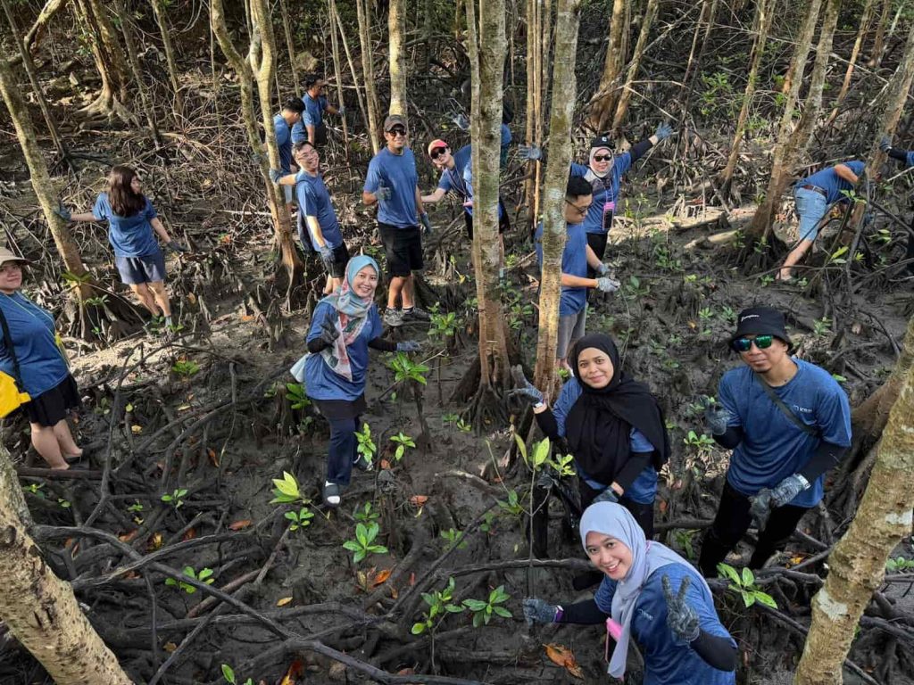 team building activities in langkawi explore mangrove