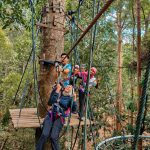team building activities in langkawi