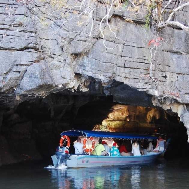 langkawi sightseeing tour mangrove