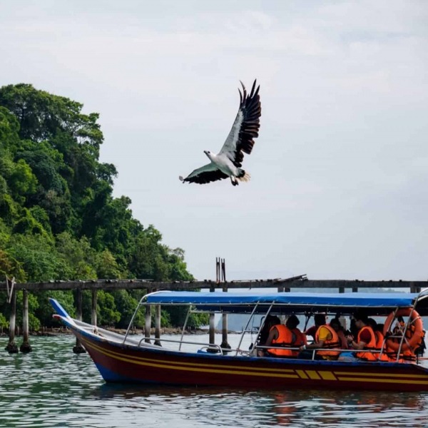 langkawi sightseeing tour island hopping