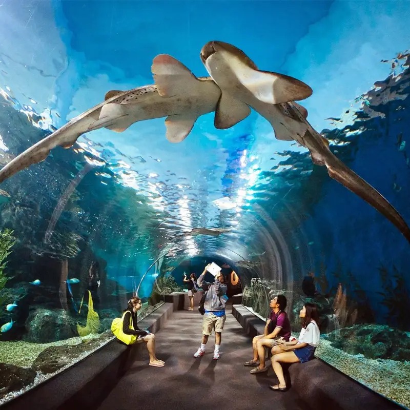 langkawi sightseeing tour underwater world