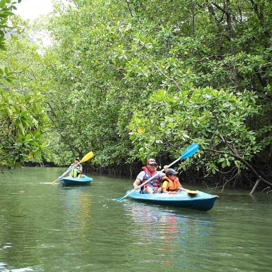 langkawi sightseeing tour mangrove kayaking