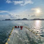 langkawi sunset cruise package experience
